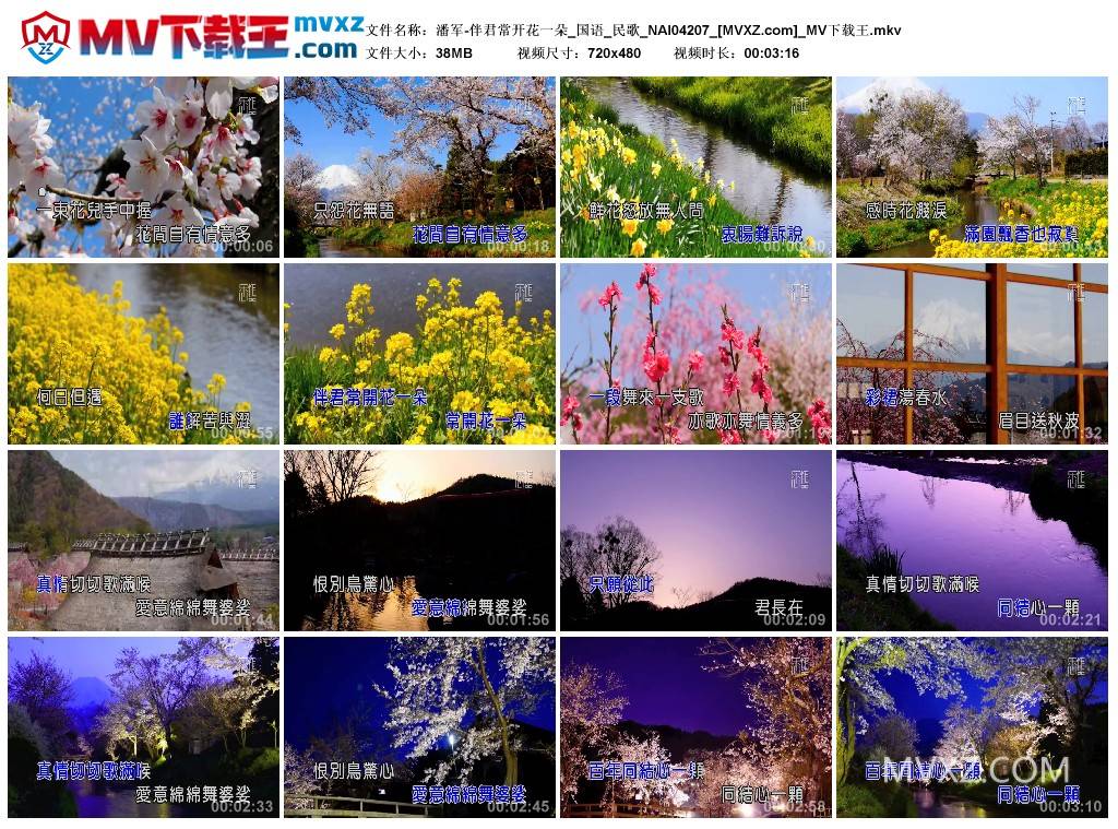 潘军-伴君常开花一朵_国语_民歌_NAI04207